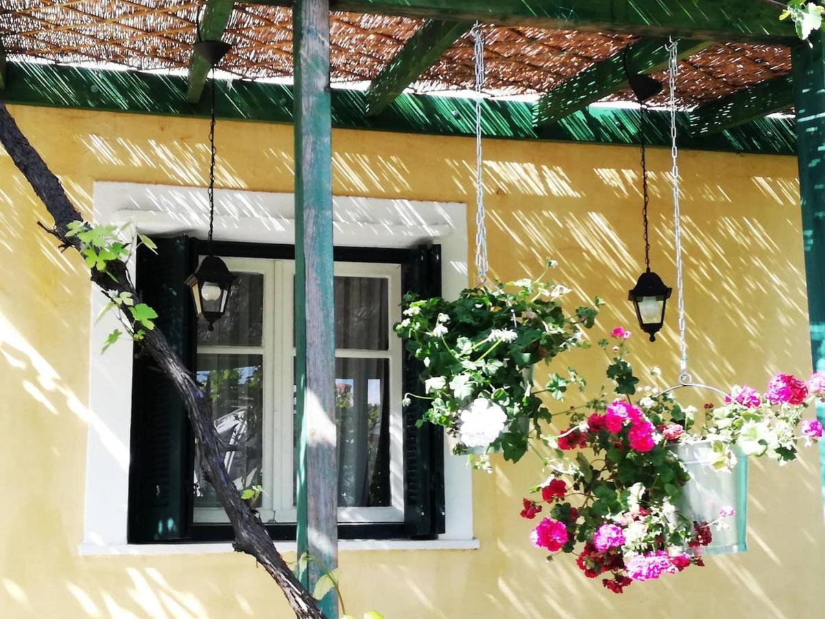Vila Garden House In Corfu Corfu  Exteriér fotografie